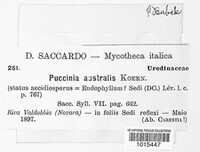 Puccinia australis image